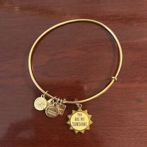 Alex and Ani Gold toned bangle Bracelet with Charms